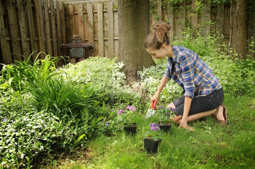 Gardener mowing a small front lawn in a Chingford terrace