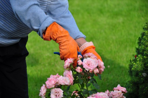 Close-up of grass and mower representing lawn care monitoring