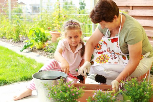Choosing the right lawn mowing service in Chingford
