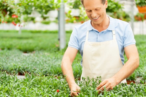Maintaining a beautiful lawn after mowing